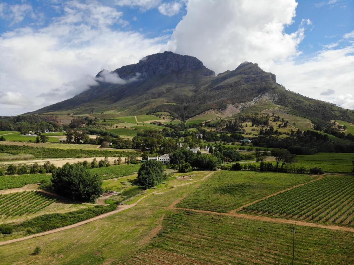 Le Pommier Wine Estate Βίλα Στέλενμπος Εξωτερικό φωτογραφία