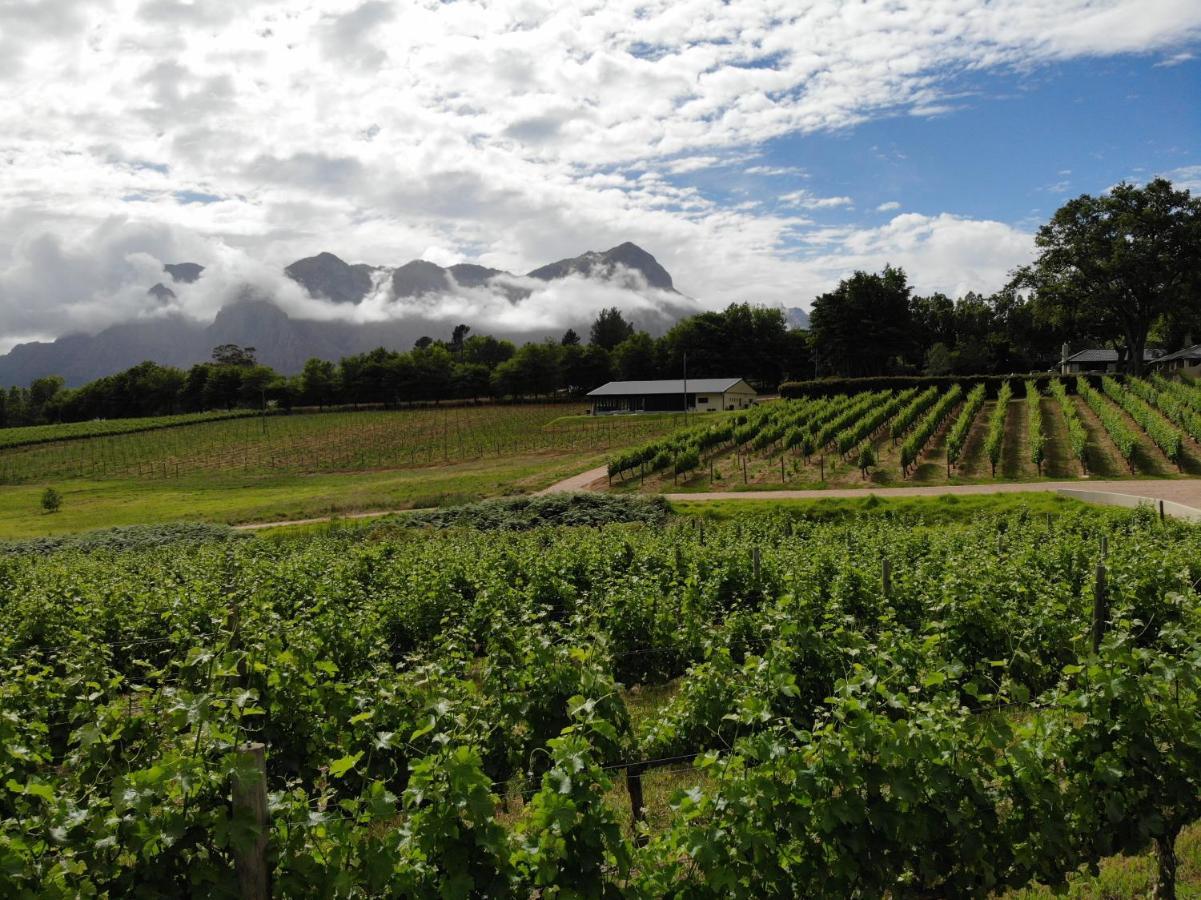 Le Pommier Wine Estate Βίλα Στέλενμπος Εξωτερικό φωτογραφία