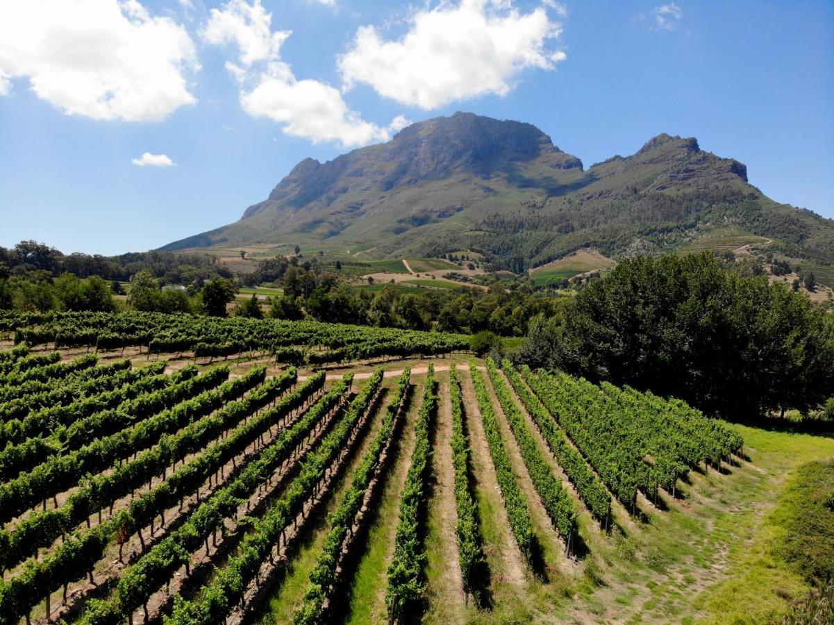 Le Pommier Wine Estate Βίλα Στέλενμπος Εξωτερικό φωτογραφία