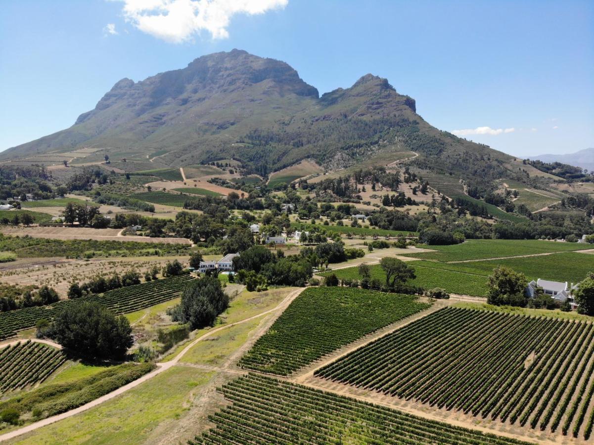 Le Pommier Wine Estate Βίλα Στέλενμπος Εξωτερικό φωτογραφία