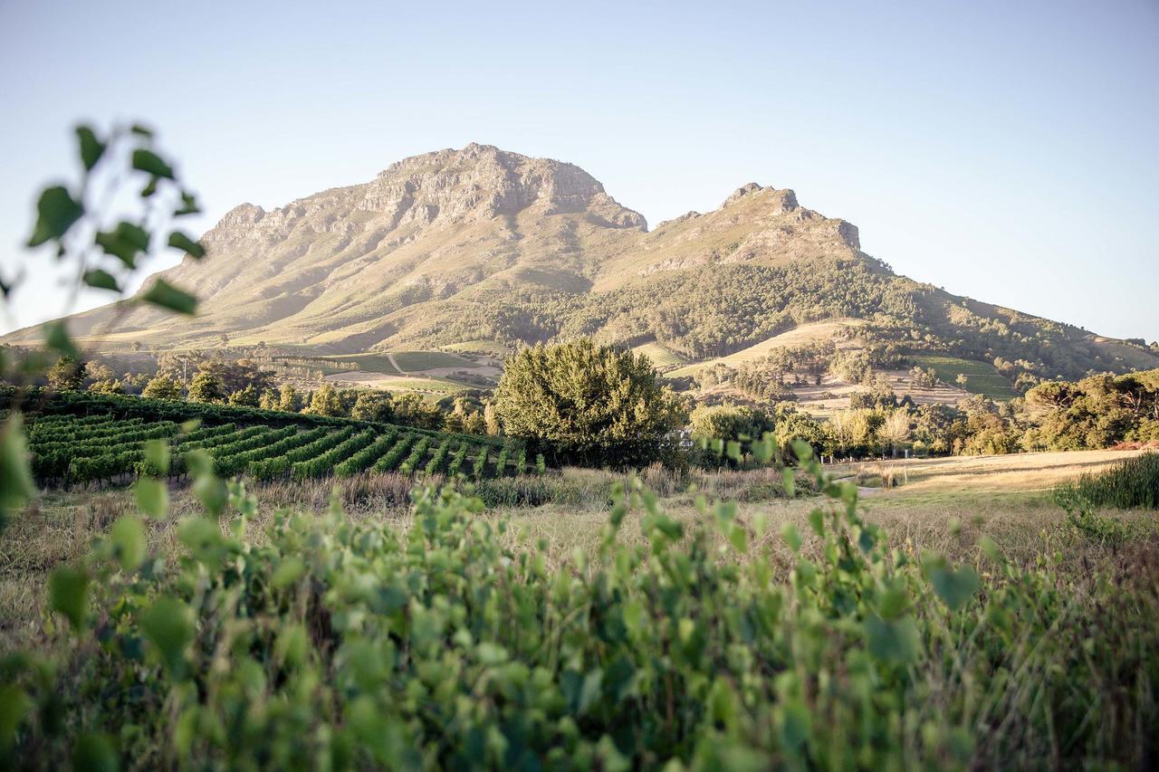 Le Pommier Wine Estate Βίλα Στέλενμπος Εξωτερικό φωτογραφία