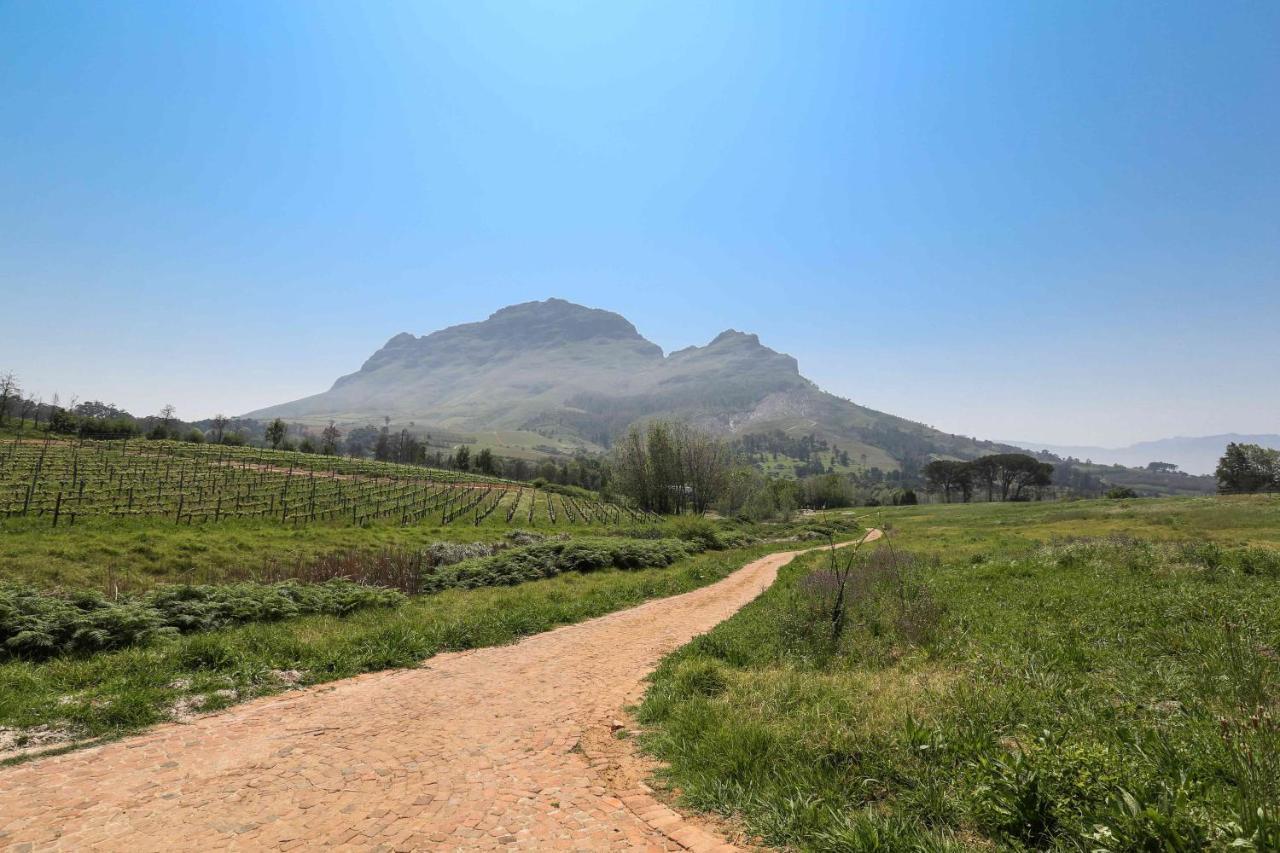 Le Pommier Wine Estate Βίλα Στέλενμπος Εξωτερικό φωτογραφία